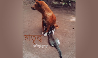 মাতৃত্ব