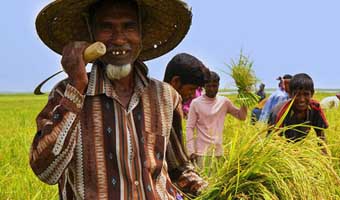 করোনা ভাইরাস: সঙ্কটের ভয়াবহতা ও উত্তরণ