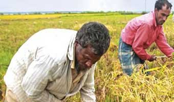 হাওড়বাংলার লুপ্ত সংস্কৃতি: আগ লওয়া